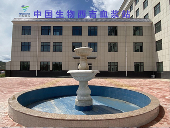 20230512112442692